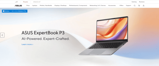 Official Website
