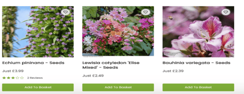 Suttons Flower Seeds