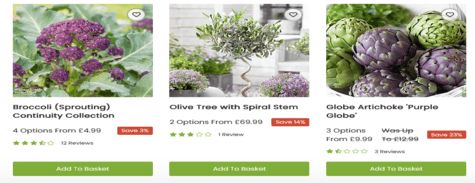 Suttons Vegetable Plants & Fruit